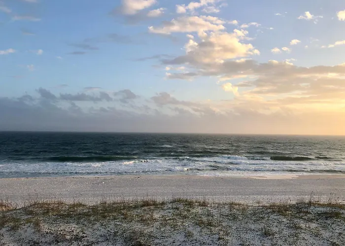 Sand Dollar W202
